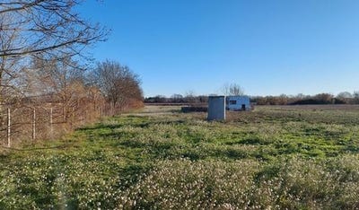 /international/fr/le-cailar-languedoc-roussillon-310105789933/