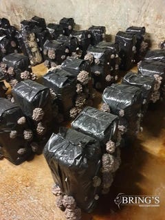 /international/fr/richelieu-centre-val-de-loire-310099614574/