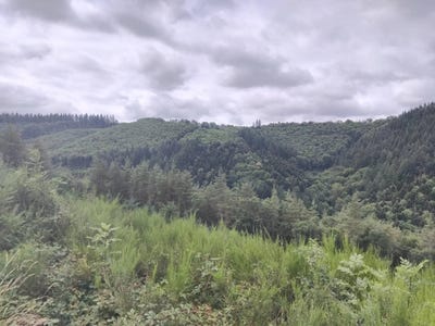 /international/fr/lacaze-auvergne-310101417394/?lang=en