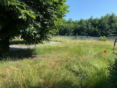 /international/fr/pont-saint-martin-pays-de-la-loire-310109237833/