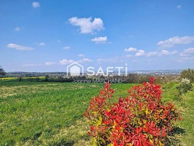 /international/fr/auzeville-tolosane-midi-pyrenees-310106779379/