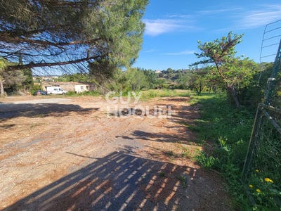 /international/fr/bizanet-languedoc-roussillon-310108650619/