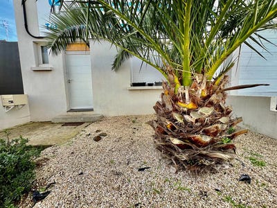 /international/fr/saint-brieuc-brittany-310100792049/