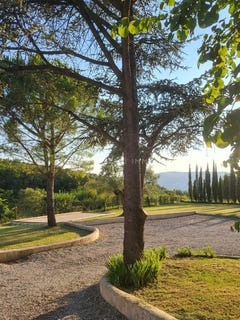 /international/fr/montelimar-rhone-310108954611/