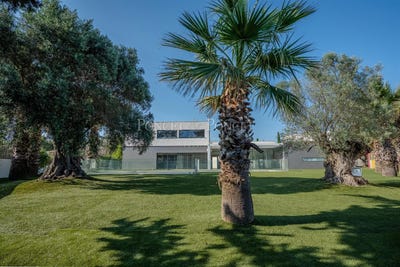 /international/fr/castelnau-le-lez-languedoc-roussillon-310102968322/