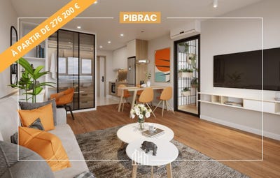 /international/fr/pibrac-midi-pyrenees-310105716852/