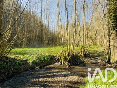 /international/fr/durstel-alsace-310106604492/