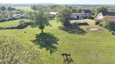 /international/fr/parsac-limousin-310108592749/