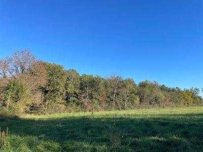 /international/fr/colomiers-midi-pyrenees-310108314393/