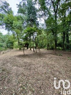 /international/fr/savigny-en-veron-centre-val-de-loire-310107467831/