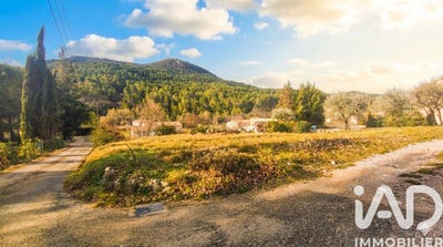 /international/fr/buis-les-baronnies-rhone-310105399703/