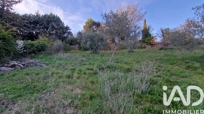 /international/fr/valensole-provence-alpes-cote-d-azur-310106592758/