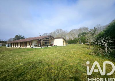 /international/fr/saint-geours-de-maremne-aquitaine-310106415886/