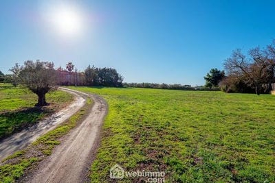 /international/fr/agde-languedoc-roussillon-310105373646/