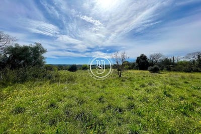 /international/fr/uzes-languedoc-roussillon-310100989073/?lang=zh-cn