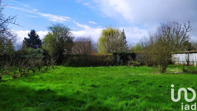 /international/fr/bombon-ile-de-france-310102458495/
