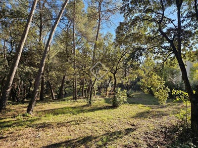 /international/fr/saint-clement-de-riviere-languedoc-roussillon-310097771417/