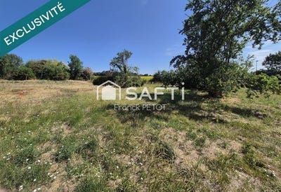 /international/fr/saint-cyr-en-talmondais-pays-de-la-loire-310101388074/