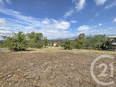 /international/fr/mougins-provence-alpes-cote-d-azur-120094272117/