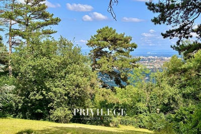 /international/fr/saint-cyr-au-mont-d-or-rhone-310100366102/