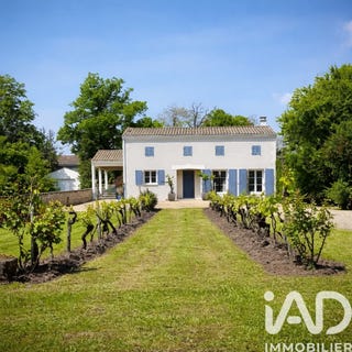 /international/fr/saint-fort-sur-gironde-charente-310104917187/