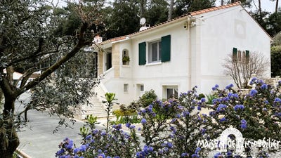 /international/fr/meschers-sur-gironde-charente-310099006897/
