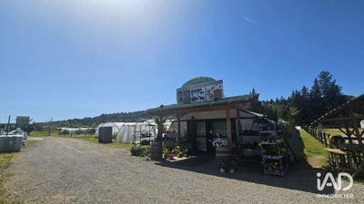 /international/fr/lorgues-provence-alpes-cote-d-azur-310106773711/
