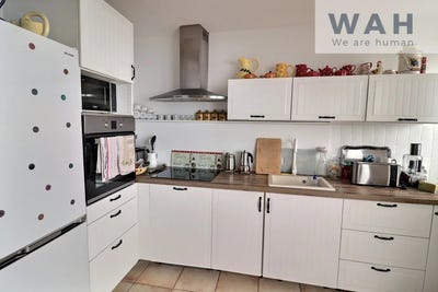 /international/fr/alignan-du-vent-languedoc-roussillon-310105912385/