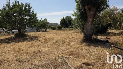 /international/fr/loireauxence-pays-de-la-loire-310101080719/