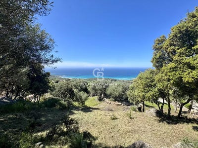 /international/fr/corbara-corsica-310106943538/