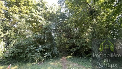 /international/fr/le-perreux-sur-marne-ile-de-france-310100576632/