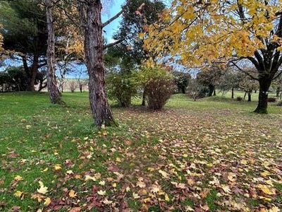 /international/fr/saint-hilaire-de-villefranche-charente-310104802125/