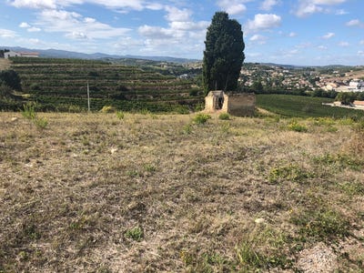 /international/fr/limoux-languedoc-roussillon-310104469851/
