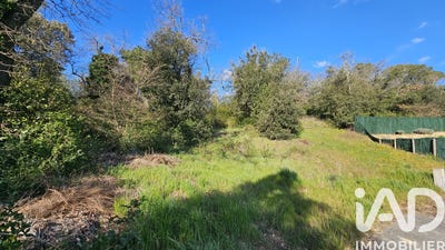 /international/fr/sabran-languedoc-roussillon-310108318436/