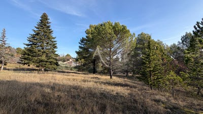 /international/fr/pierrevert-provence-alpes-cote-d-azur-310108211828/