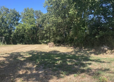 /international/fr/saint-maixent-sur-vie-pays-de-la-loire-310101411616/