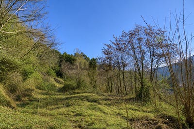 /international/fr/le-collet-de-deze-languedoc-roussillon-310105247336/