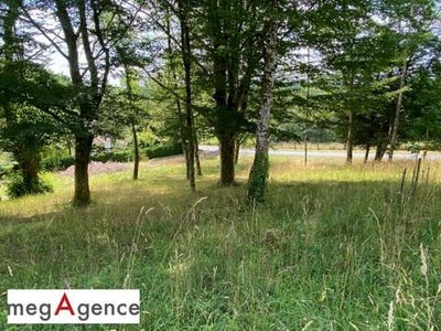 /international/fr/tulle-limousin-310101603729/