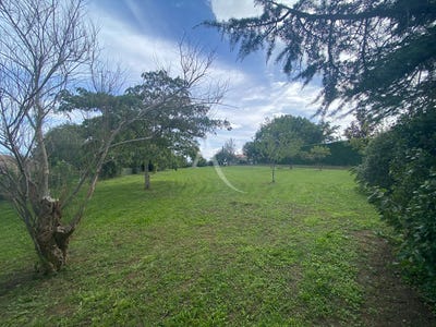 /international/fr/carmaux-midi-pyrenees-310104472272/