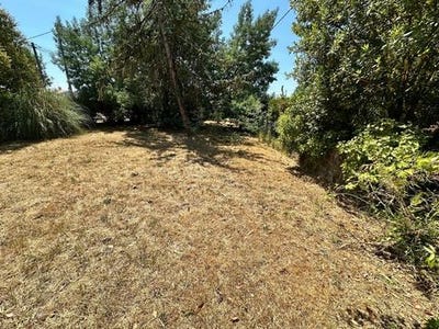 /international/fr/le-teich-aquitaine-310119428075/