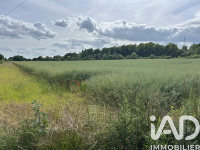 /international/fr/saint-hilaire-au-temple-ardennes-310106458836/