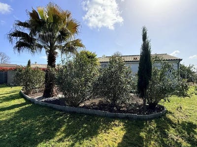 /international/fr/saint-savin-charente-310107375496/