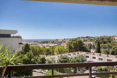 /international/fr/le-cannet-provence-alpes-cote-d-azur-310101087257/