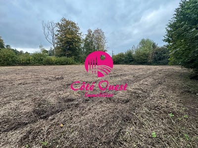 /international/fr/criquetot-l-esneval-upper-normandy-310104009734/