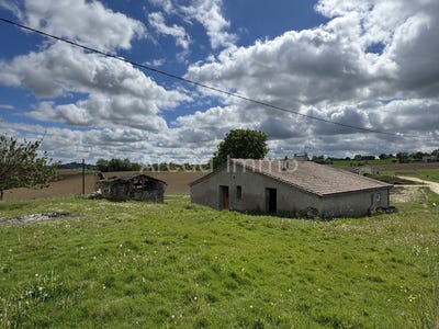 /international/fr/segalas-aquitaine-310105300502/