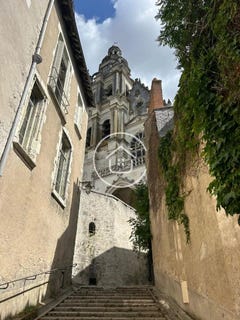 /international/fr/blois-centre-val-de-loire-310101109446/
