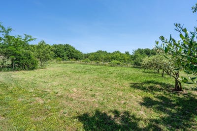 /international/fr/oppede-provence-alpes-cote-d-azur-310110262295/