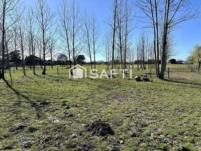 /international/fr/sainte-marthe-aquitaine-310100522751/