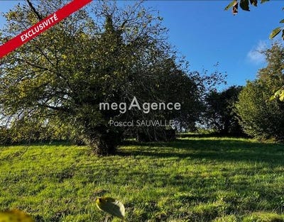 /international/fr/chateau-l-eveque-aquitaine-310103640554/