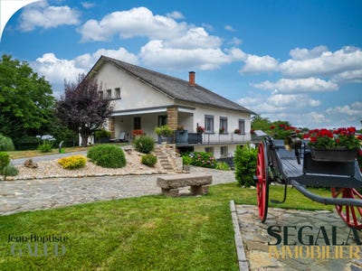 /international/fr/tanus-midi-pyrenees-310099346263/?lang=pt